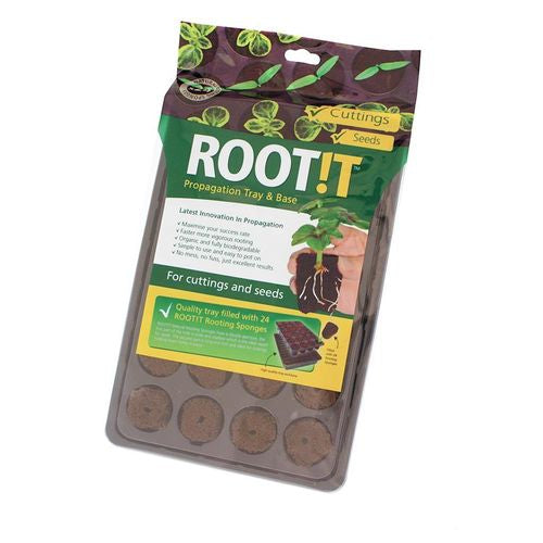 Root!t juurrutussieni ja tarjotin 24 kpl