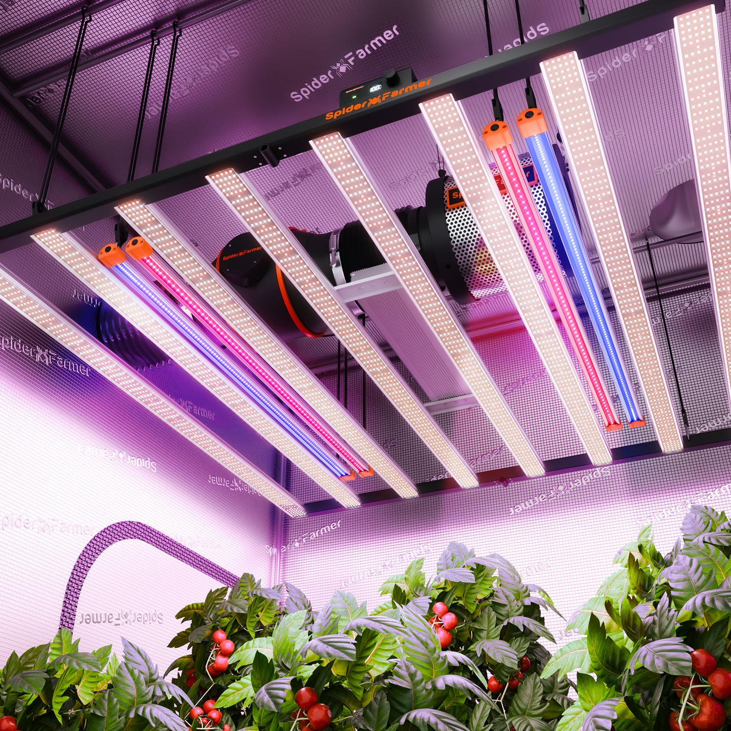 Spider Farmer UV60 & IR30 Led paketti