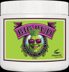 Big Bud Powder 500g
