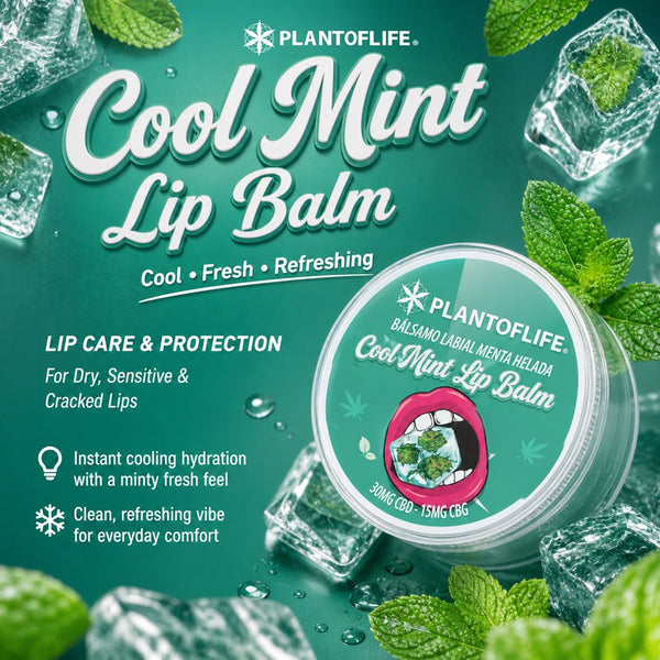 Plant of Life Cool Mint Huulirasva
