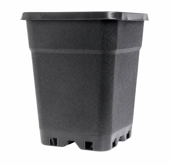 Neliöruukku 11L